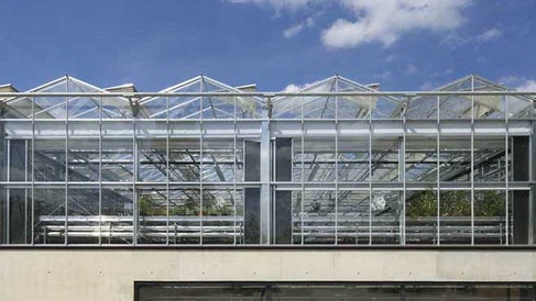 Sainsbury Laboratory glasshouse view from outside