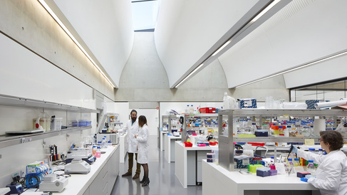 The wet lab areas within the Sainsbury Laboratory are flooded in natural light thanks to glass ceilings