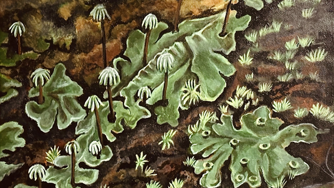  'The Marchantia Bed'—Painting by Chetan Pandey (Acrylics on Canvas)
