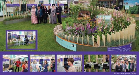 Montage of photos from the Blooming Numbers exhibit showing overall Fibonacci spiral design and also Sainsbury Laboratory scientists talking to visitors.