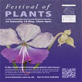 Festival of Plants, May 18 2013