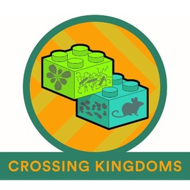 Re-wiring cells by crossing kingdoms