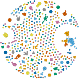 Structural similarity network and community analysis of AlphaFold2-modelled secreted R. irregularis proteins. Proteins sharing the same predicted structure are clustered together.