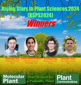 Rising Stars in Plant Sciences 2024 winners, Alexander M Jones (University of Cambridge), Haodong Chen (Tsinghua University), Gözde Sultan Demirer (California Institute of Technology,) and Xiaofeng Fang (Tsinghua University)