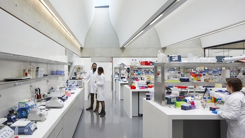 View along open-plan SLCU laboratory benches