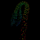 Fluorescent biosensor image of an Arabidopsis thaliana hypocotyl showing a gibberellin gradient detected by GPS1, with high hormone concentrations in the stem represented by red signals transitioning through yellow to low concentrations in green toward the cotyledons, against a black background.
