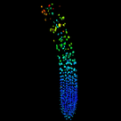 Fluorescent biosensor image of an Arabidopsis thaliana hypocotyl showing a gibberellin gradient detected by GPS1. GPS1 visualises GA gradients showing low concentrations (blue) in the Arabidopsis thaliana root tip to higher concentrations further away from tip (green then red). Image on a black background.