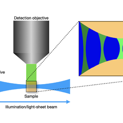 Schematic of a light-sheet microscope, showing the illumination and the detection directions. The interaction of the light-sheet with the detection PSF leads to a spatially varying overall PSF and decreasing of the pixel intensities away from the centre in the horizontal direction.