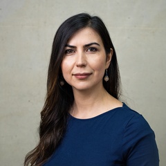 Mana Afsharinafar
