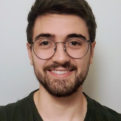 Alexandre P Fernandes