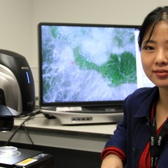 Jehnna Yang is exhibiting a novel plant-inspired plastic-free textile at the 2024 Milan Design Week. Yang is pictured examining the woolly farina of the alpine plant, Dionysia tapetodes, under a Keyence microscope at the Sainsbury Laboratory, Cambridge. 