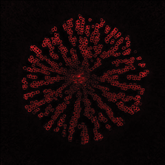 Cross section of hypocotyl of 8-week-old Arabidopsis thaliana. The ovac mutant displays enhanced secondary vessel differentiation (red) at the expense of parchenchyma cells. 