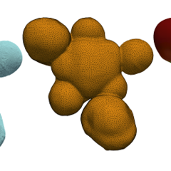 Illustration of the tissue-level segmentation workflow showing different processing stages, consisting of the 1) raw data, 2) contour, 3) surface mesh, 4) mesh curvature, and 5) the final, segmented mesh. Image by Henrik Åhl.