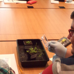 ‘This workshop really opened my eyes to the opportunities in plant sciences!’
