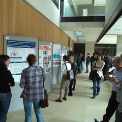 EMBO Conference delegates viewing scientific posters in the SLCU atrium