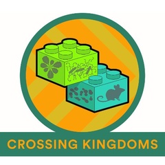 Re-wiring cells by crossing kingdoms