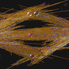 A model of the mitotic spindles found in plant roots. The chromosomes, represented here by their kinetochores (two spheres for each chromosome), reside in the middle of the picture. Around them are microtubules (yellow, white, and blue lines).