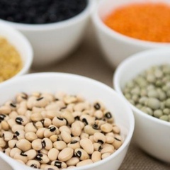 Bowls of different pulses