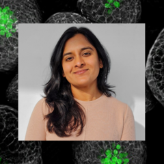 Dr Sonal Yadav with background of microscopy image of shoot meristem of Arabidopsis thaliana