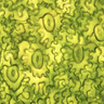 Microscopic image of a leaf surface showing many irregularly shaped plant cells with wavy, puzzle-like edges. Scattered among the cells are several oval-shaped structures called stomata, each outlined clearly and containing a vertical slit-like opening in the center. The image is predominantly yellow-green, with darker green outlines highlighting the cell walls and the stomata. The guard cells surrounding each stoma appear slightly thicker and more defined than the surrounding epidermal cells. 