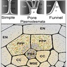 Plant science research team including SLCU’s Helariutta reveals a missing link in plant transport