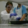 'Today has encouraged me to be a scientist!'