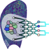 Illustration of the Plant automatic cell lineage reconstruction project. Graphic by Elise Laruelle and leaf images by Kumud Saini.