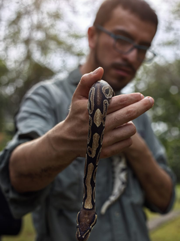 Andres Alfonso Rojas holding a snake