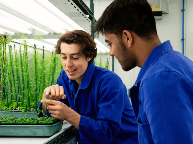 Two scientists wearing dark blue lab coats in a growth chamber looking at trays of Arabodopsis plants