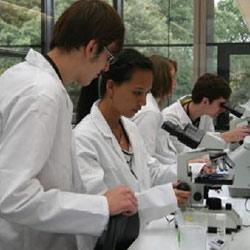 Sutton Trust Summer Schools