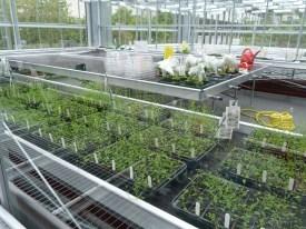 Why physical scientists and biologists should interact!