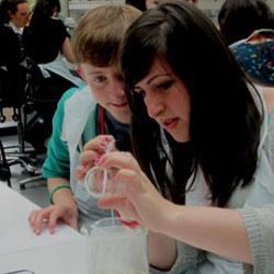 Sutton Trust Summer Schools