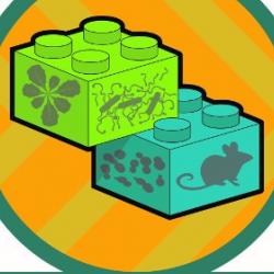 Re-wiring cells by crossing kingdoms