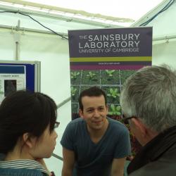 Festival of Plants 2015