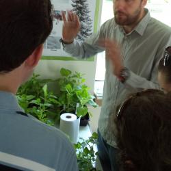 SLCU postdocs chatting to members of the public at the 2015 Festival of Plants