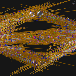 A model of the mitotic spindles found in plant roots. The chromosomes, represented here by their kinetochores (two spheres for each chromosome), reside in the middle of the picture. Around them are microtubules (yellow, white, and blue lines).