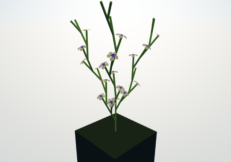 Computer simulated plant with 3 main branches and flowers on axilliary stems.