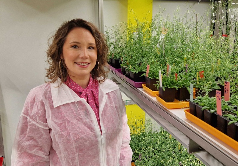 Professor Marie-Cecile Caillaud standing in plant growth chamber with shelves full of labelled Arabidopsis thaliana plants growing in trays, wearing a white lab coat over pink shirt