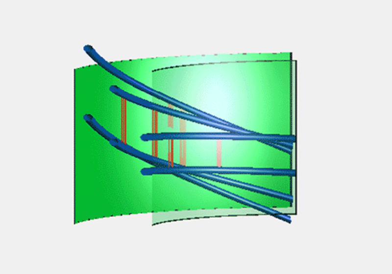 he hypothesised principles behind cell wall growth where the cellulose molecules (the blue rods) are stretching, reorientating and moving through the cell wall and are connected via "biological hotspots" (the orange groups of fibres), which are stretching and breaking as the cell wall extends.   