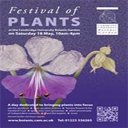 Festival of Plants, May 18 2013