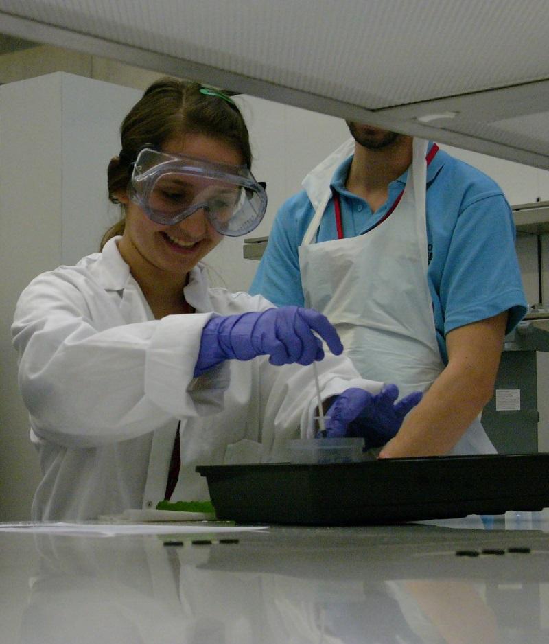 'Today has encouraged me to be a scientist!'