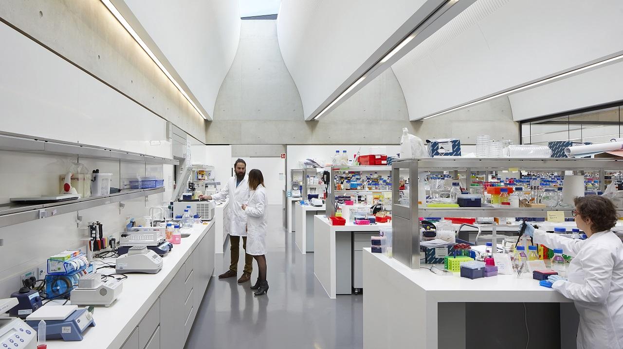 View along open-plan SLCU laboratory benches View along open-plan SLCU laboratory benches