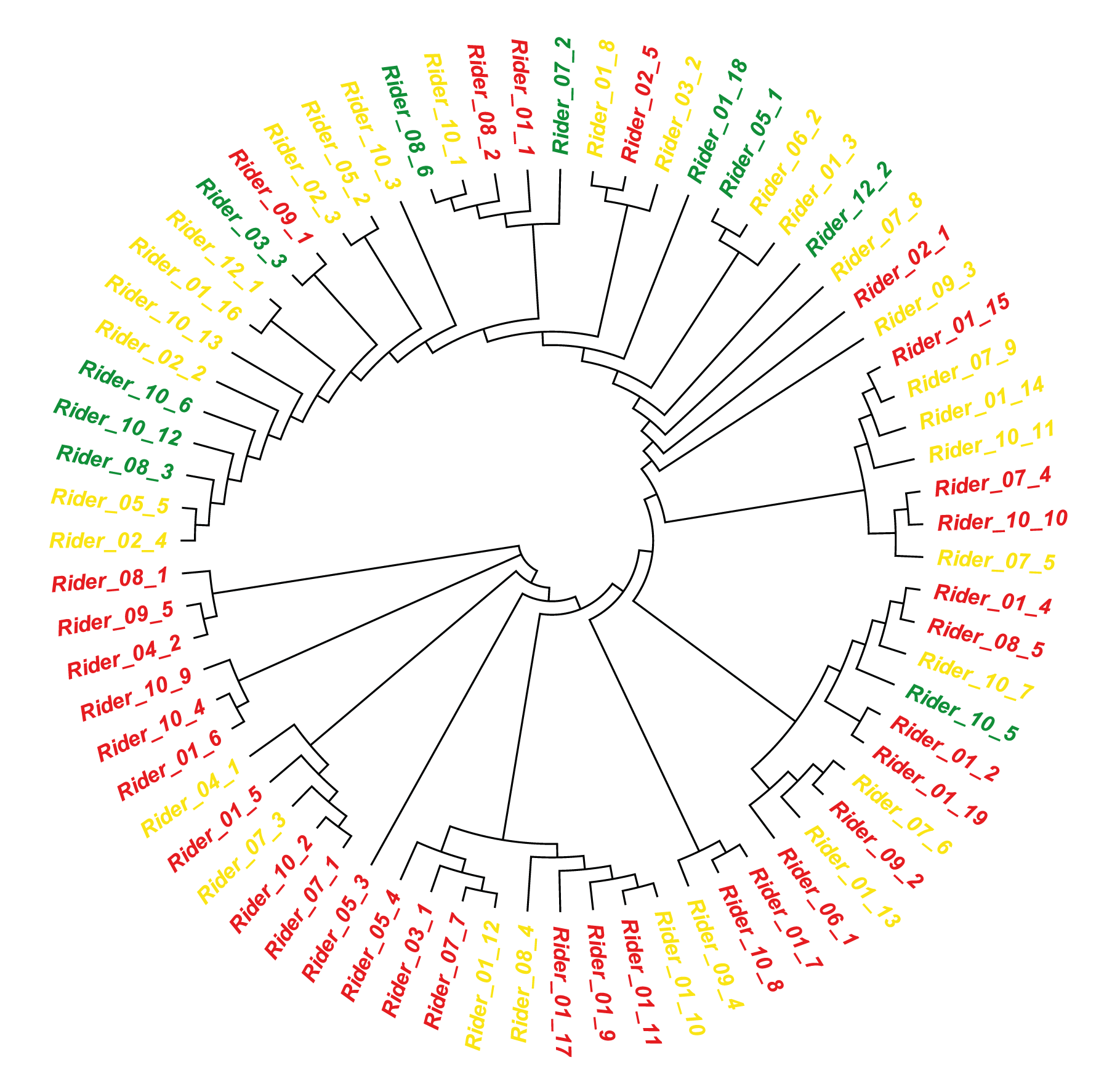 The Paszkowski research team mapped the Rider elements on a phylogenetic tree to gain a better understanding of how old the different Rider transposons are in evolutionary terms.