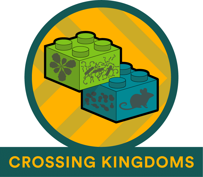 Crossing Kingdoms Logo