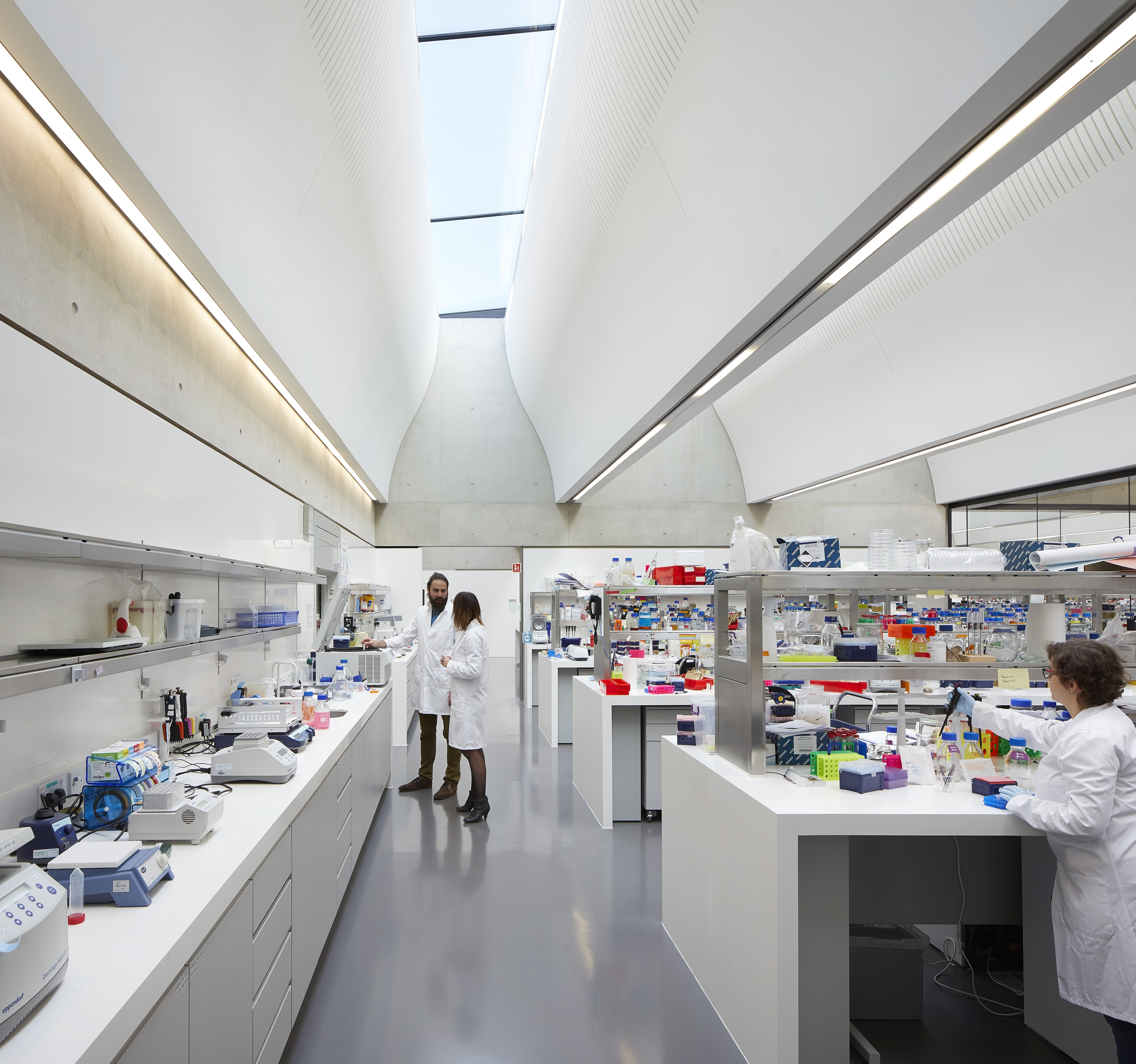 The wet lab areas within the Sainsbury Laboratory are flooded in natural light thanks to glass ceilings