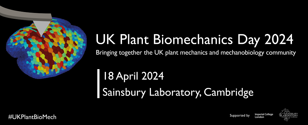 UK Plant Biomechanics Day 2024 website banner
