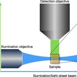 Image Reconstruction in Light-Sheet Microscopy - Spatially Varying Deconvolution and Mixed Noise