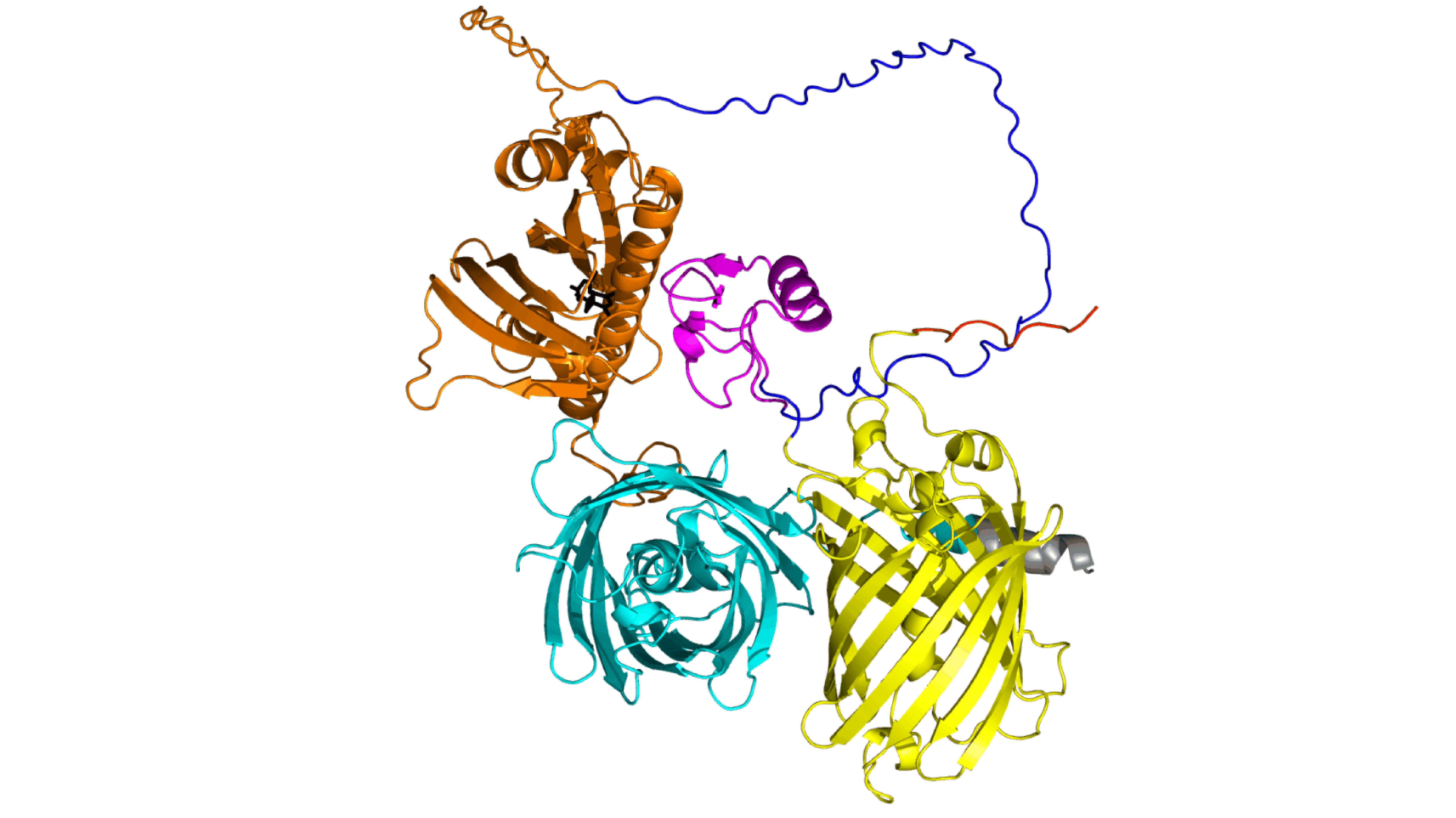 A protein structure model of the ABACUS2 biosensor made by the Jones lab to detect the plant hormone ABA
