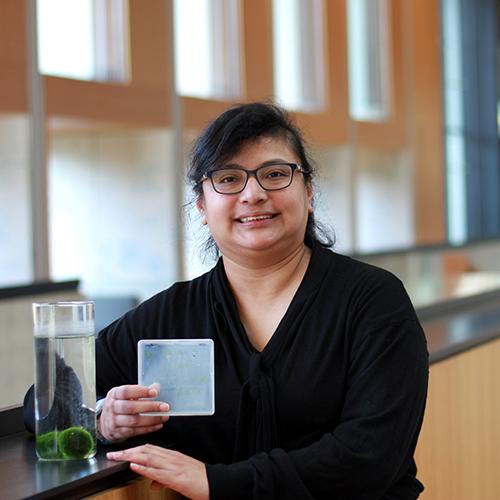 Dr Dora Cano Ramirez pictured with Marimo lake balls and Arabidopsis seedlings with the interior of the SLCU building in the background