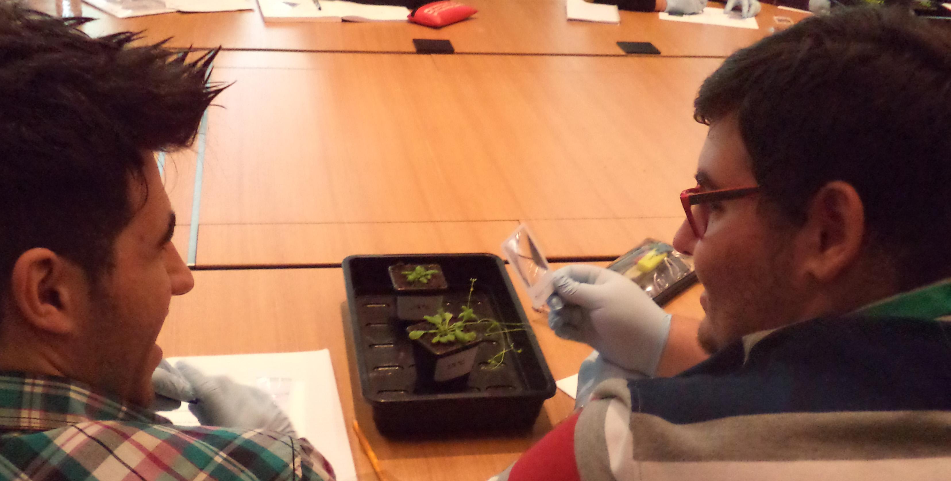 ‘This workshop really opened my eyes to the opportunities in plant sciences!’